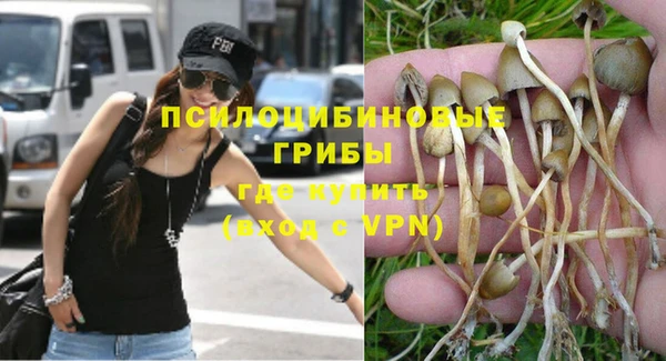 ECSTASY Иннополис