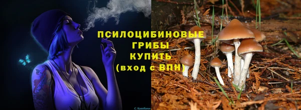 круглые Инта